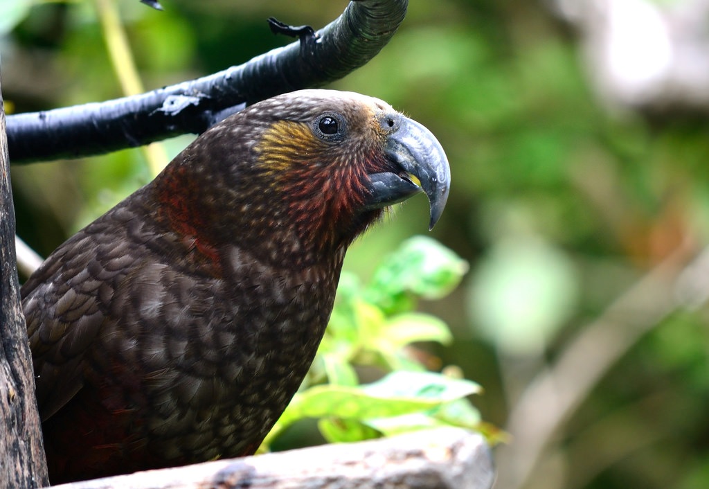 Wairarapa Moana